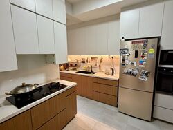 Parc Oasis (D22), Condominium #572282801